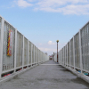 jnfc_3952_78989.jpg