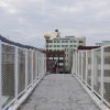 jnfc_3952_78990.jpg