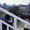 jnfc_3952_78996.jpg