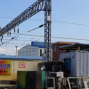 jnfc_3952_78998.jpg