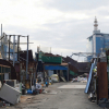 jnfc_3952_78999.jpg