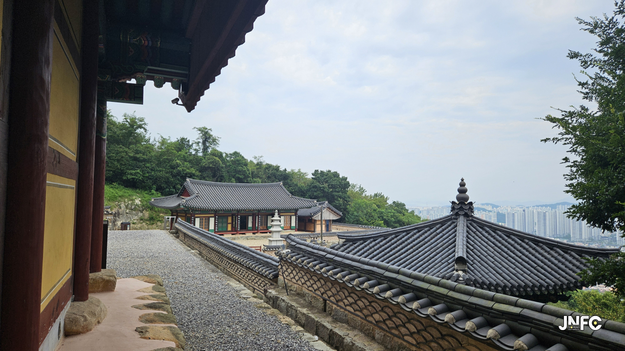 jnfc_3959_128911.jpg