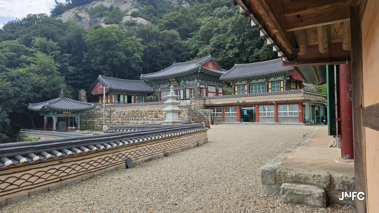 jnfc_3959_128912.jpg
