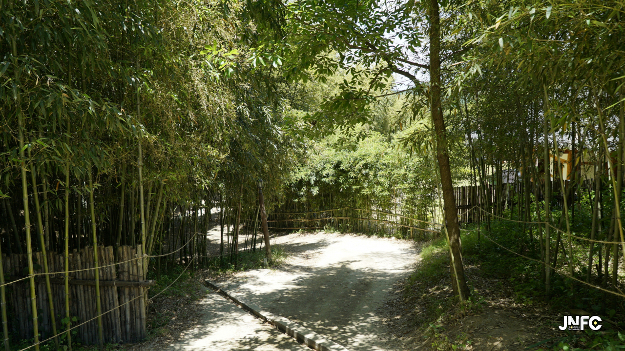 jnfc_3995_131824.jpg