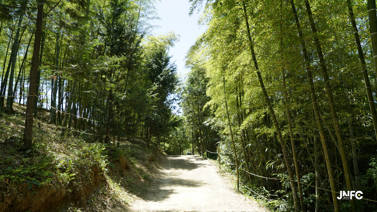 jnfc_3995_131825.jpg