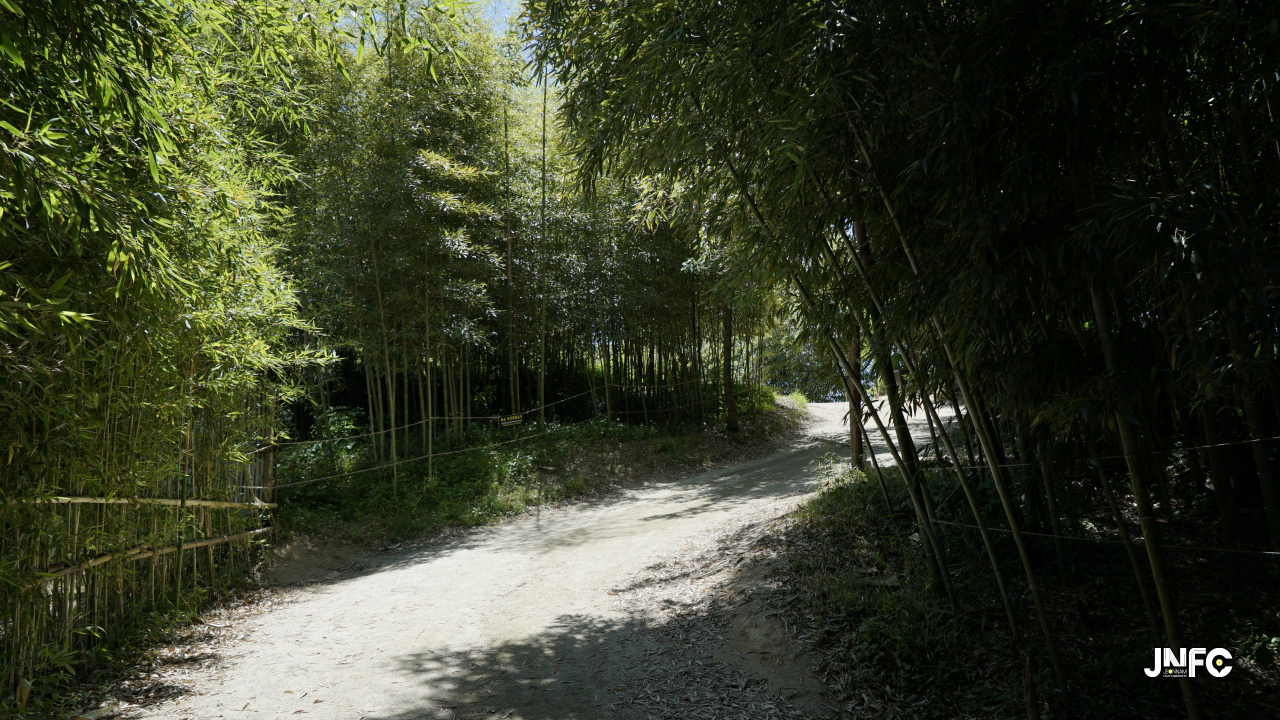 jnfc_3995_131827.jpg