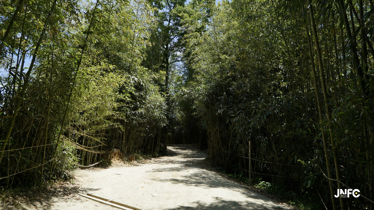 jnfc_3995_131828.jpg