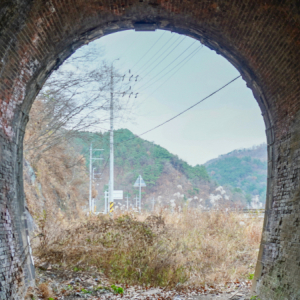 나주 (폐) 구진포 터널