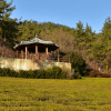 jnfc_4021_80784.jpg