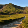 jnfc_4021_80790.jpg