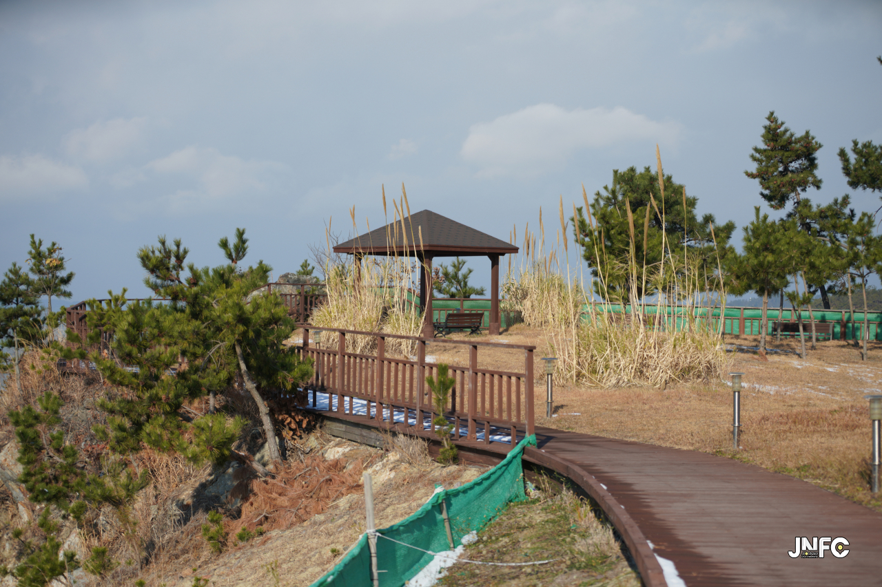 jnfc_4031_134747.jpg