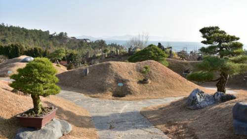 천사섬 분재공원