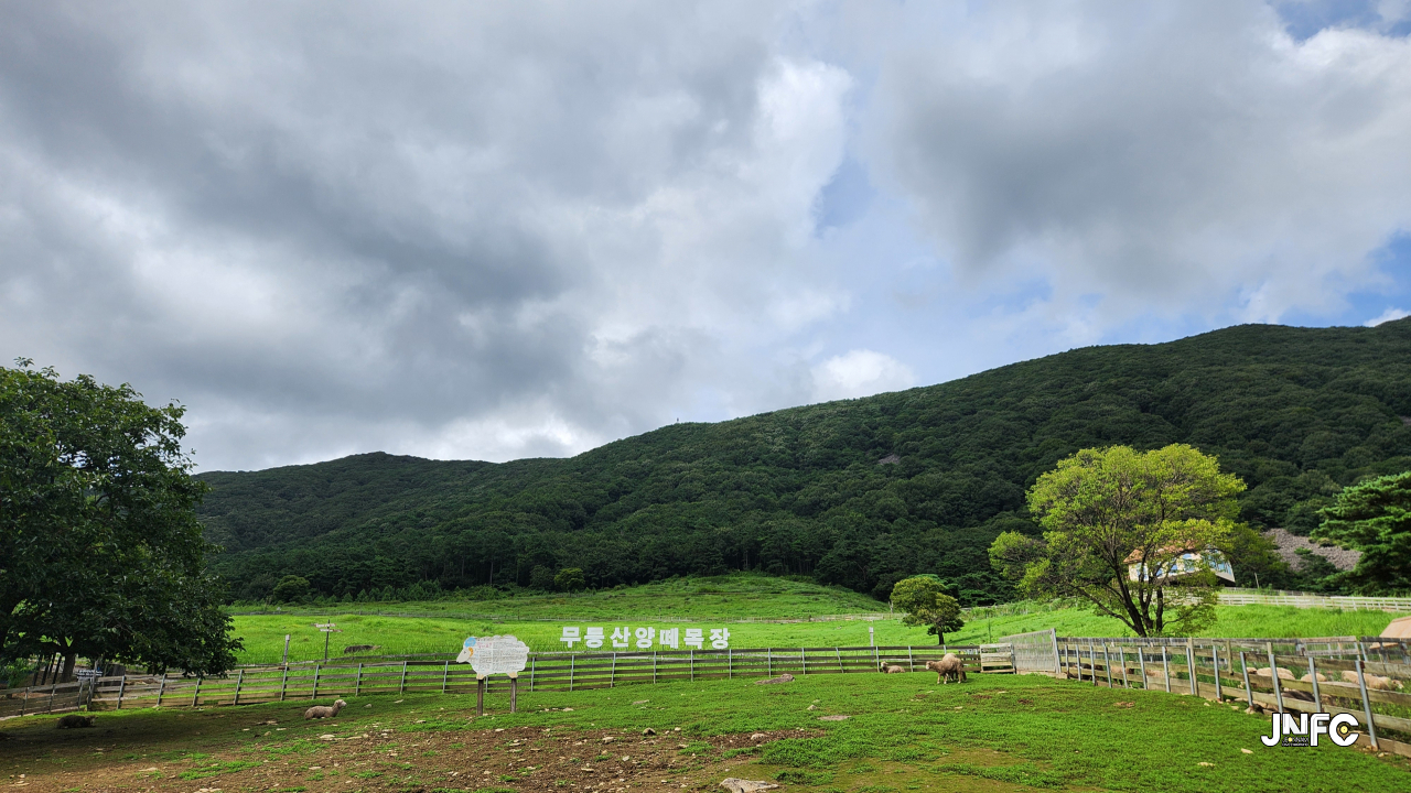 jnfc_4048_134408.jpg