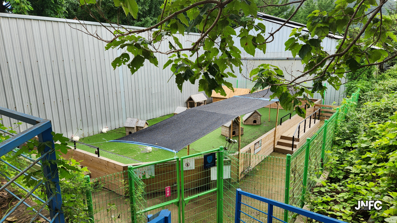jnfc_4048_134419.jpg