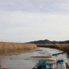 jnfc_4052_81325.jpg