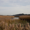 jnfc_4052_81332.jpg