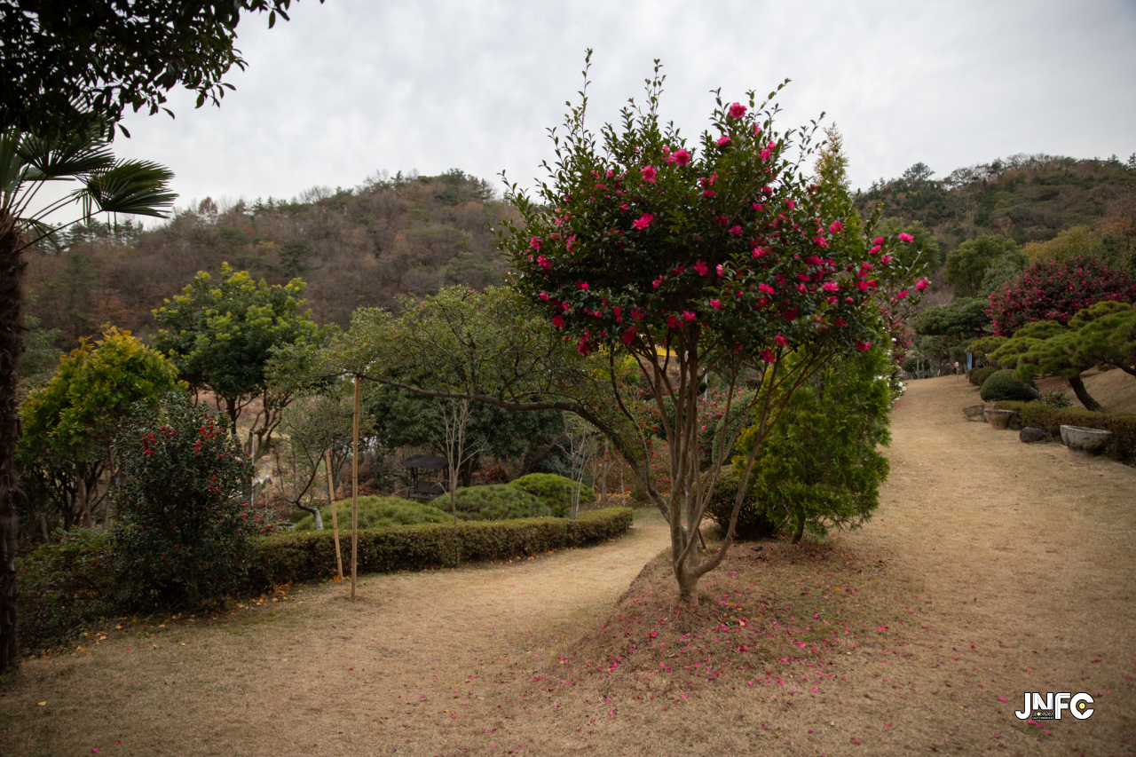 jnfc_4054_131033.jpg