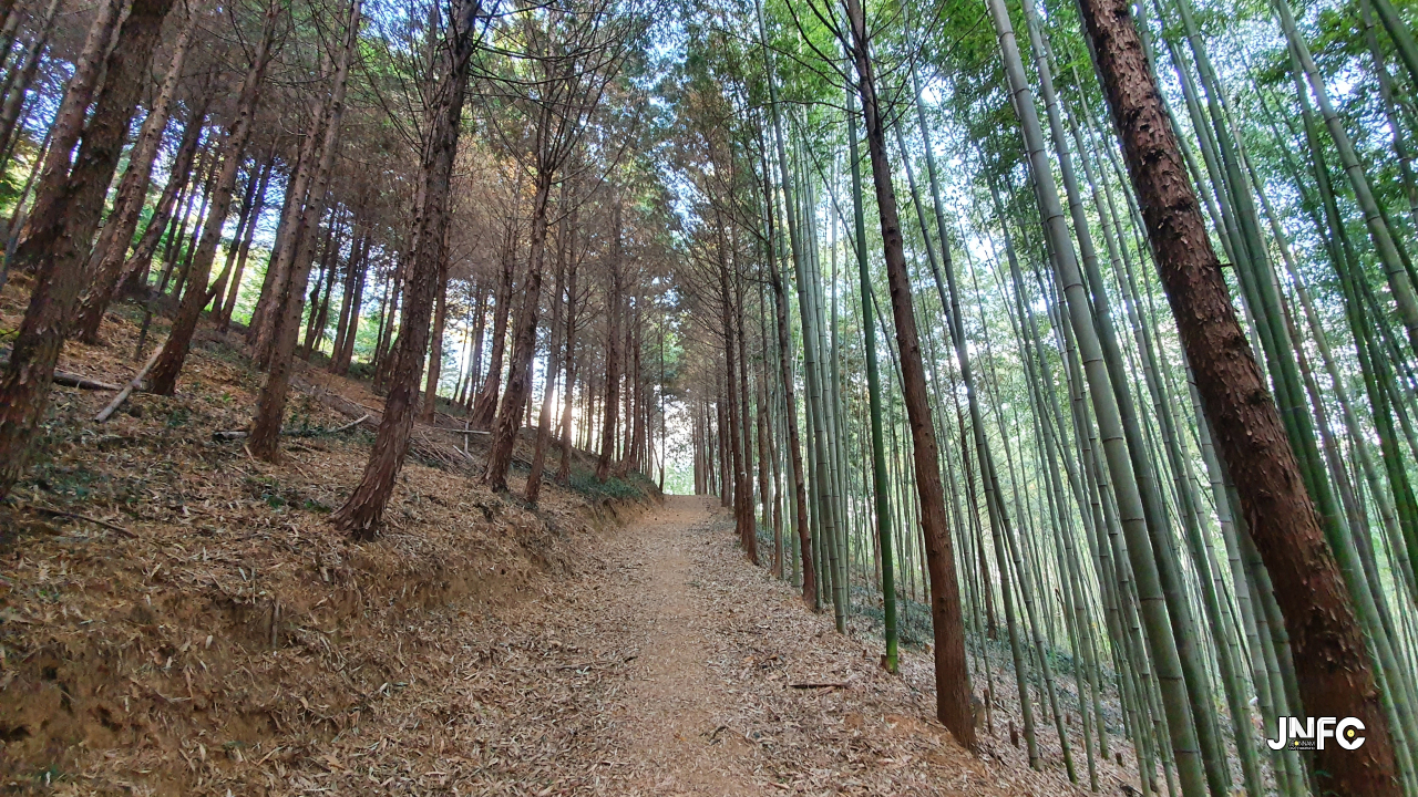 jnfc_4054_131036.jpg