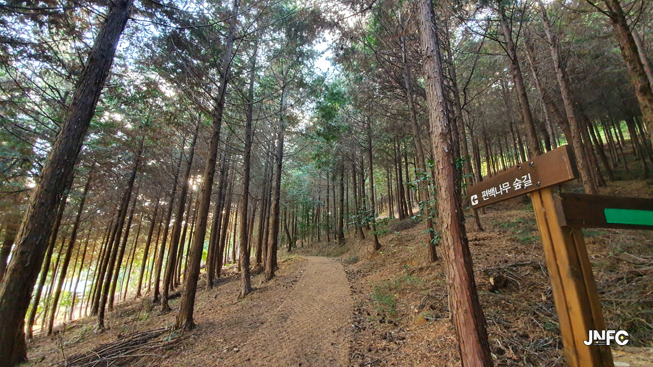 jnfc_4054_131038.jpg