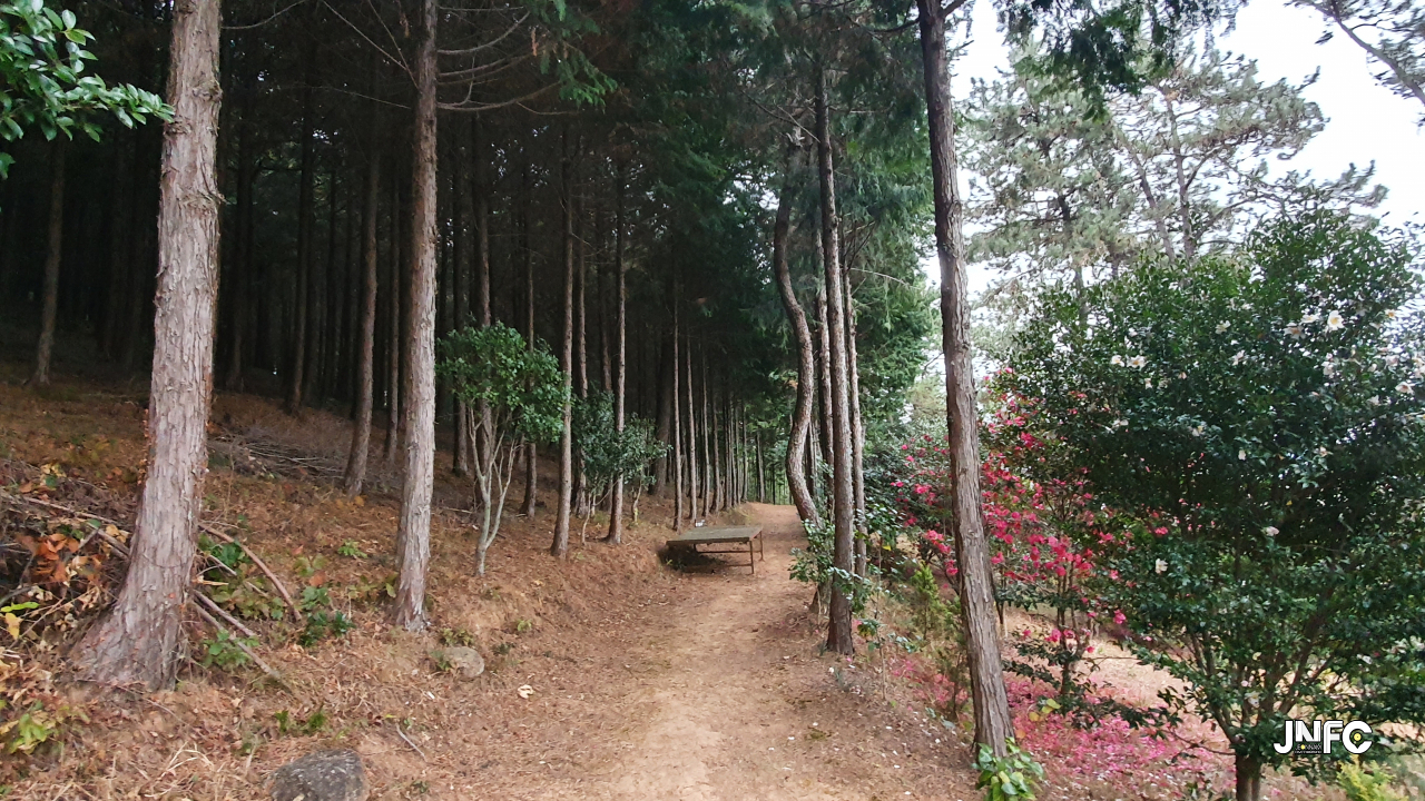 jnfc_4054_131039.jpg