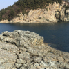 jnfc_409_127438.jpeg