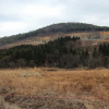 jnfc_4092_81999.jpg