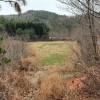 jnfc_4092_82000.jpg