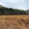 jnfc_4092_82001.jpg