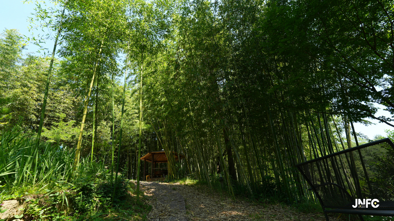 jnfc_4211_134545.jpg