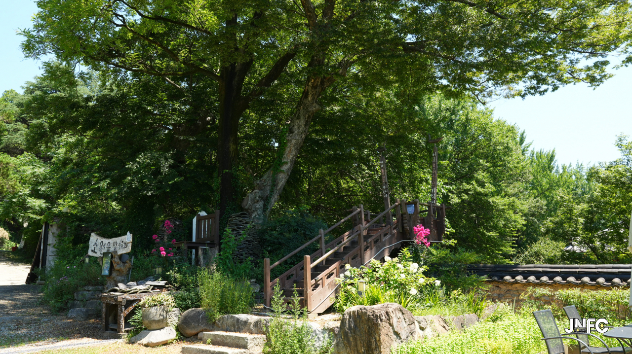 jnfc_4211_134563.jpg