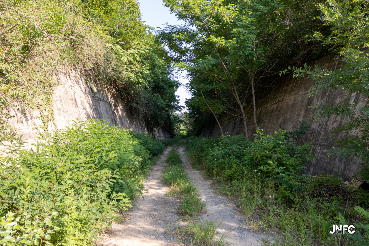 jnfc_4280_130248.jpg