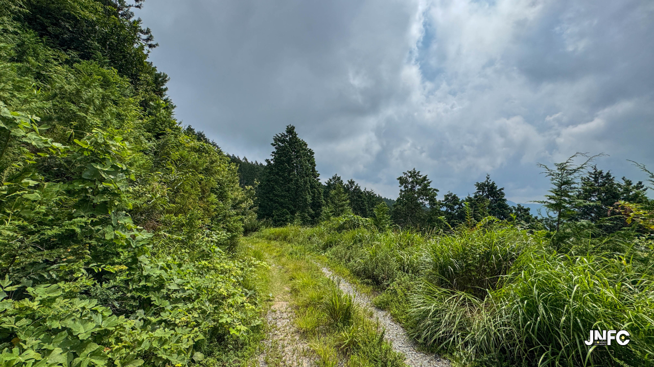 jnfc_4347_155848.jpg