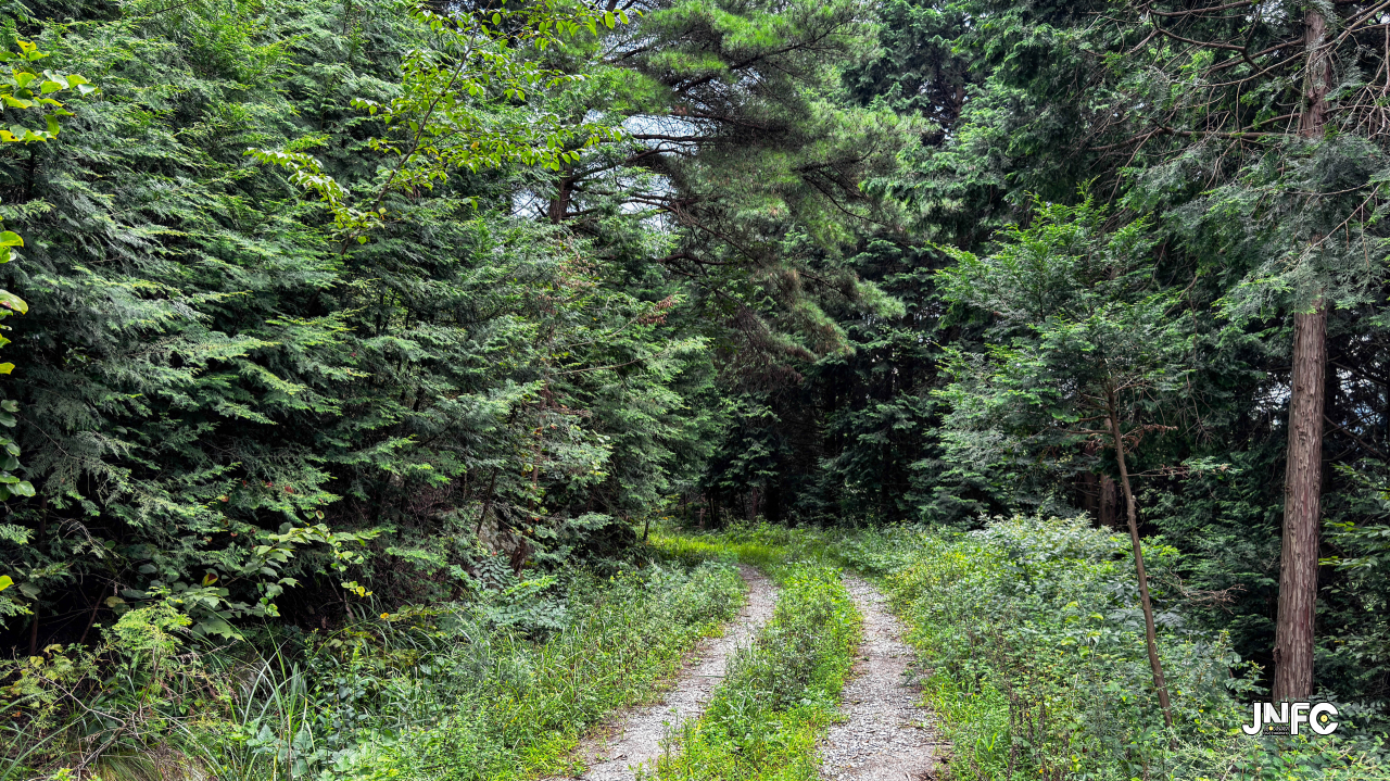 jnfc_4347_155849.jpg