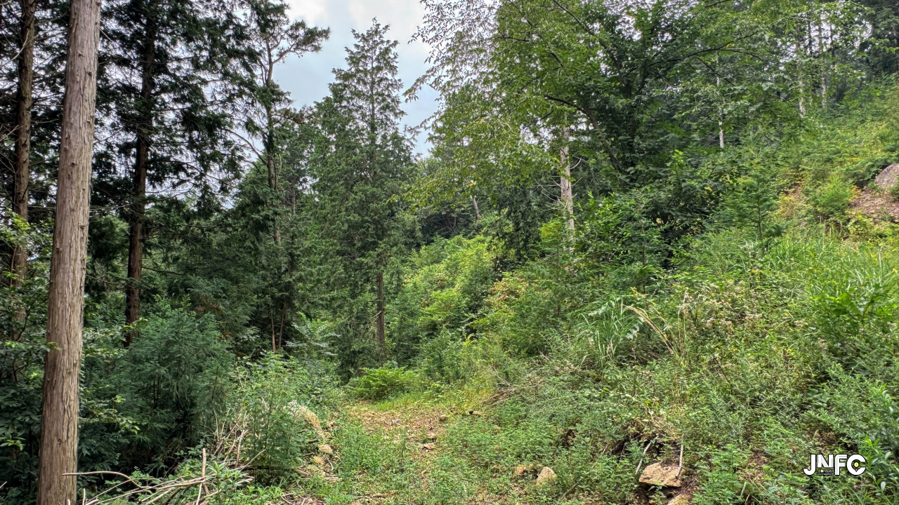 jnfc_4347_155850.jpg