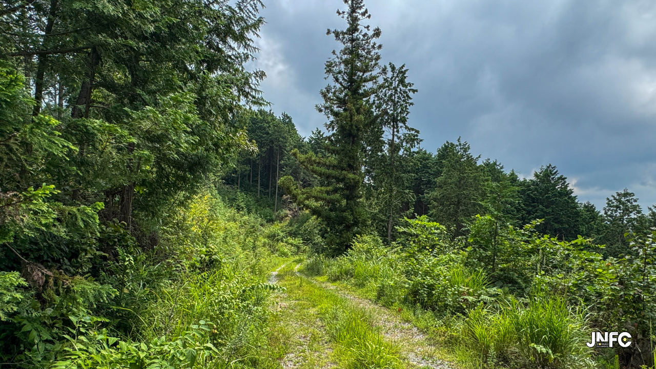 jnfc_4347_155852.jpg