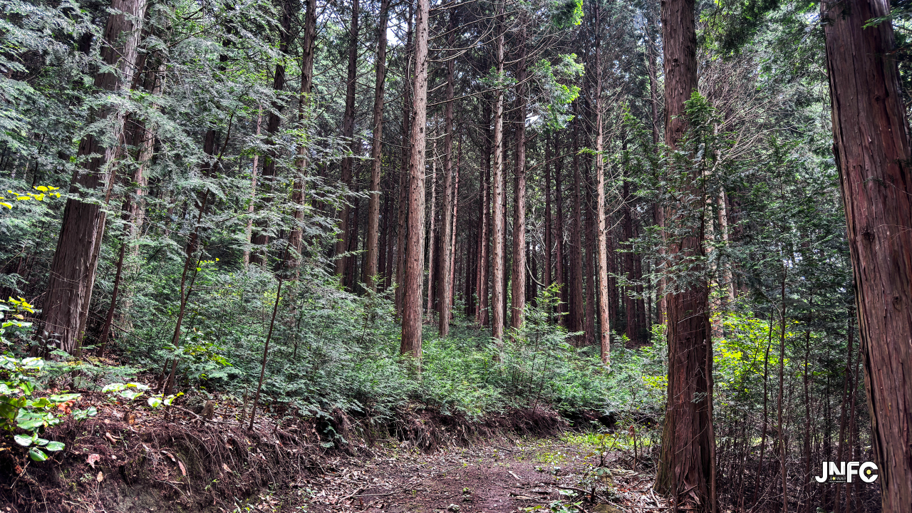 jnfc_4347_155855.jpg