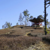 jnfc_441_126169.jpg