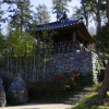 jnfc_441_126171.jpg
