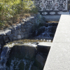 jnfc_441_126177.jpg