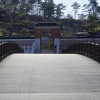 jnfc_441_126178.jpg