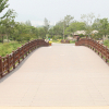 jnfc_441_126180.jpg