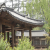 jnfc_441_126185.jpg