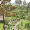 jnfc_441_126187.jpg