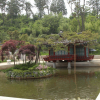 jnfc_441_126188.jpg