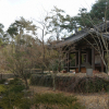 jnfc_441_126192.jpg