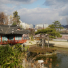 jnfc_441_126194.jpg