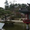 jnfc_441_126196.jpg
