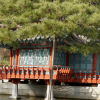 jnfc_441_126200.jpg
