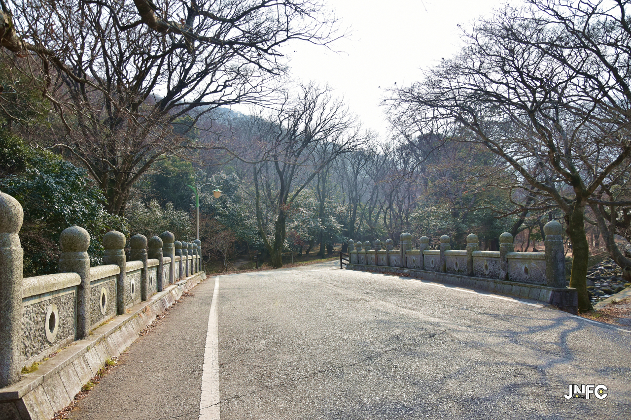 jnfc_45_134777.jpg