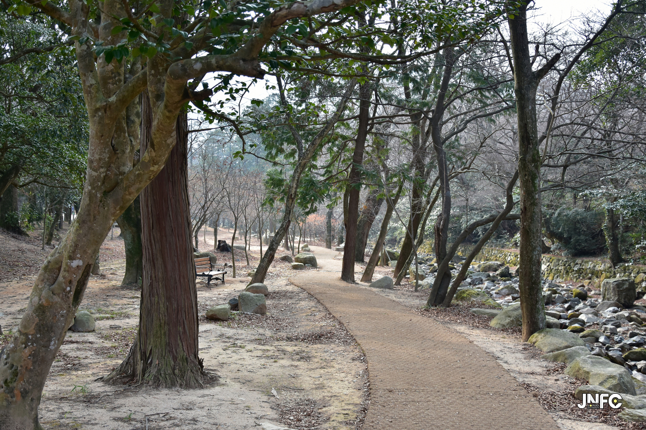 jnfc_45_134778.jpg